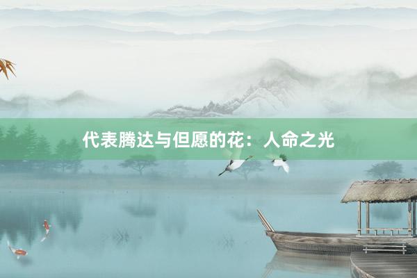 代表腾达与但愿的花：人命之光