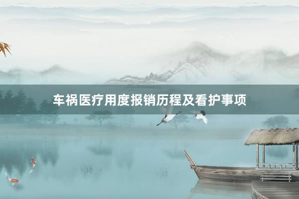 车祸医疗用度报销历程及看护事项