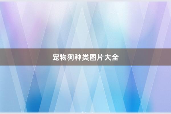 宠物狗种类图片大全