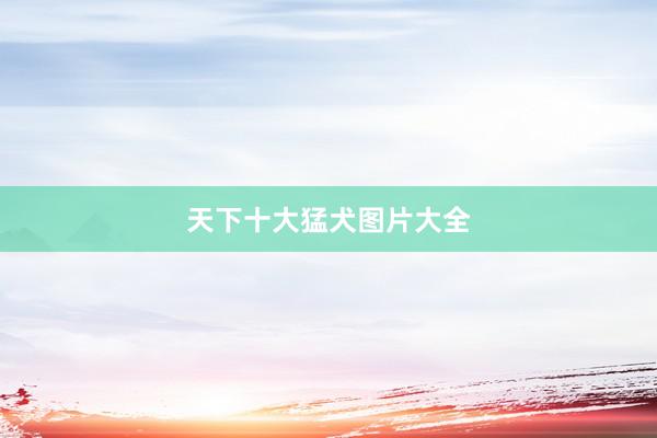 天下十大猛犬图片大全