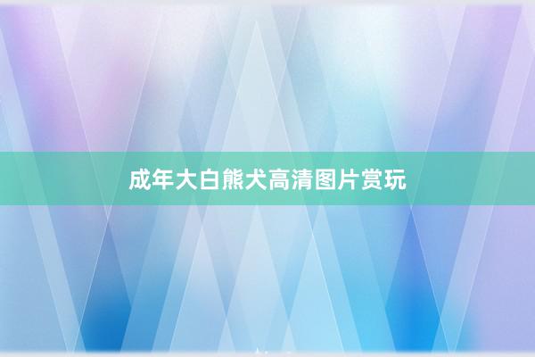 成年大白熊犬高清图片赏玩