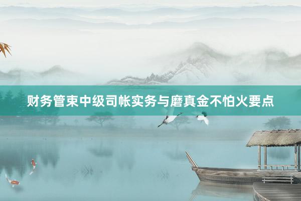 财务管束中级司帐实务与磨真金不怕火要点